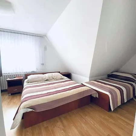 Goscinne Letycja بياوي دونايتس